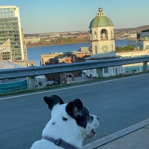 Meet your Posher, Mark